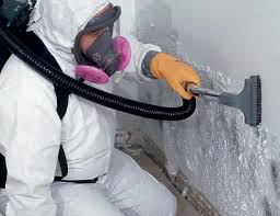 Best Commercial Mold Inspection  in Deer Park, OH